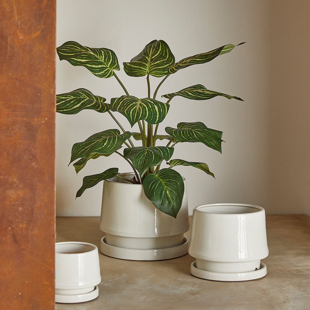 Vaso Trapezio in Ceramica Bianca con Piatto EDG Enzo De Gasperi
