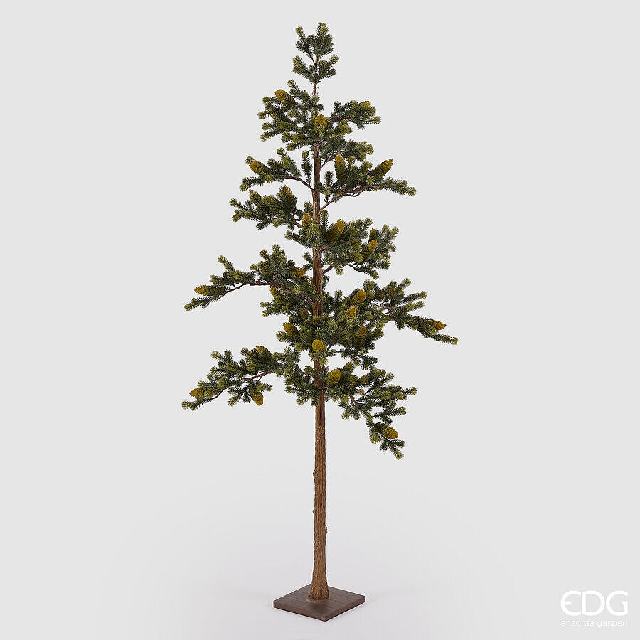 Pino con pigne, con base H. 170 cm EDG Enzo De Gasperi