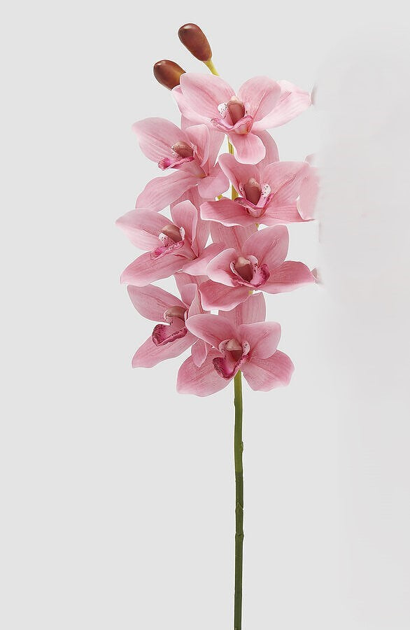 Ramo di Orchidea Cymbidium Artificiale con Bocciolo H. 80 cm EDG Enzo De Gasperi