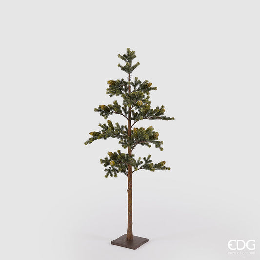 Pino con pigne con base EDG - Enzo De Gasperi