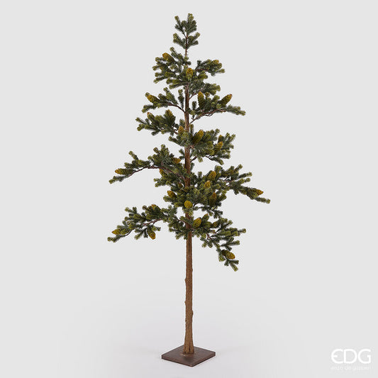 Pino con pigne, con base H. 170 cm EDG Enzo De Gasperi